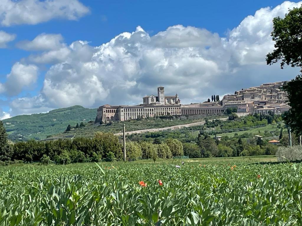 Villa Il Fienile Di Asís Exterior foto