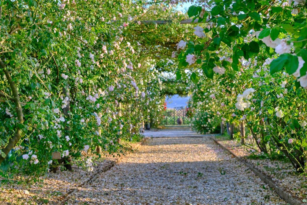 Villa Il Fienile Di Asís Exterior foto